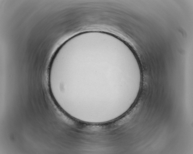 X0000111431517200908031320