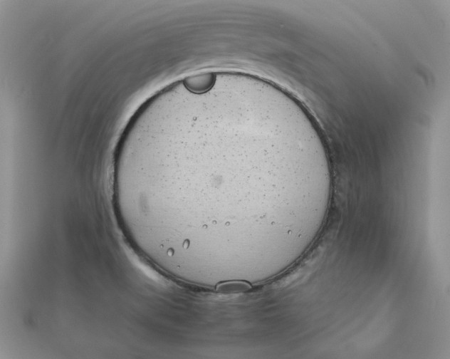 X0000111431519200908031320