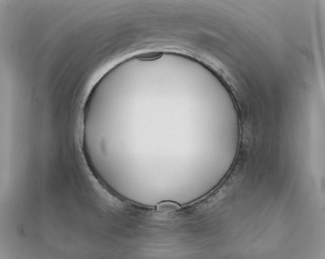 X0000111431520200908031320