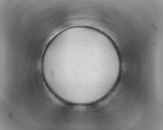 X0000111431521200908031320