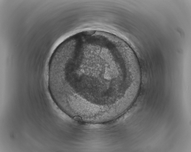 X0000111431522200908031320