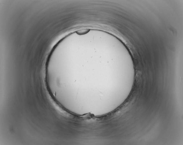 X0000111431523200908031320