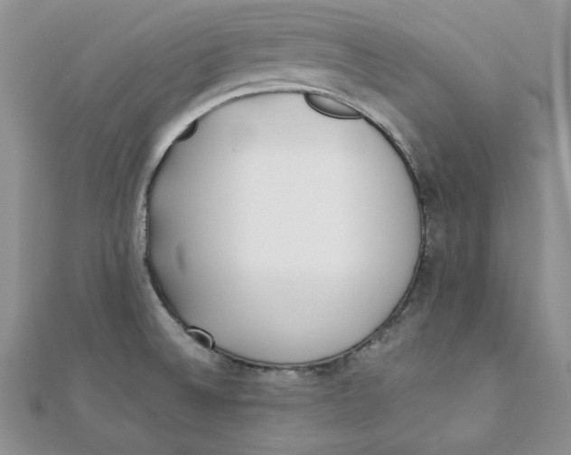 X0000111431524200908031320