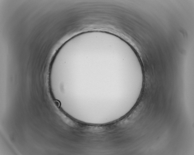 X0000111431525200908031320