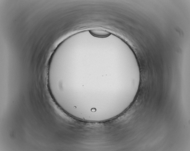 X0000111431526200908031320