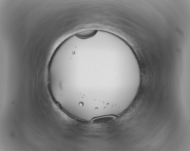 X0000111431527200908031320