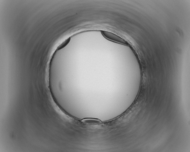 X0000111431528200908031320