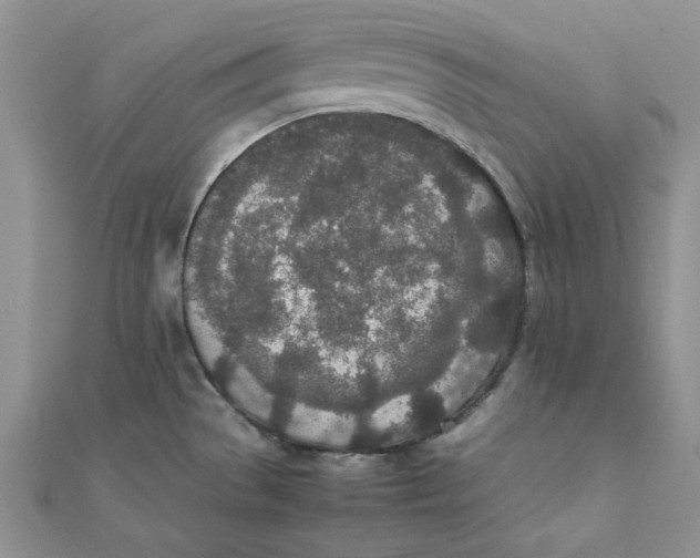 X0000111431529200908031320