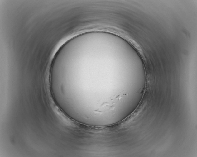 X0000111431530200908031321