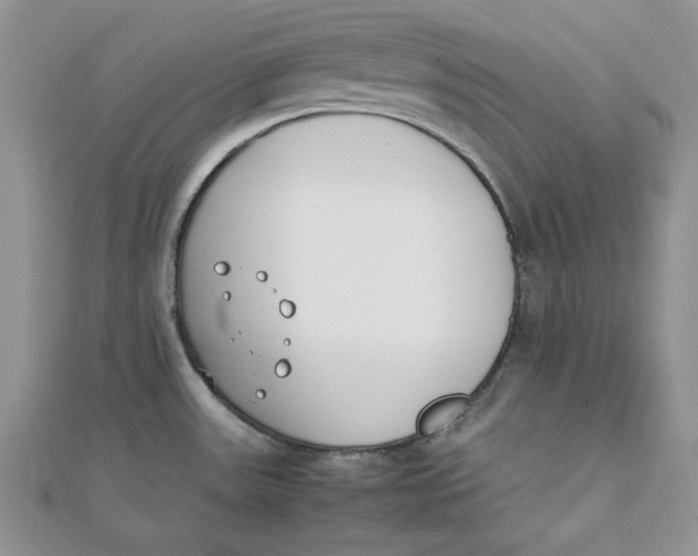 X0000111431531200908031321