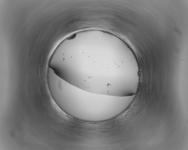 X0000111431532200908031321