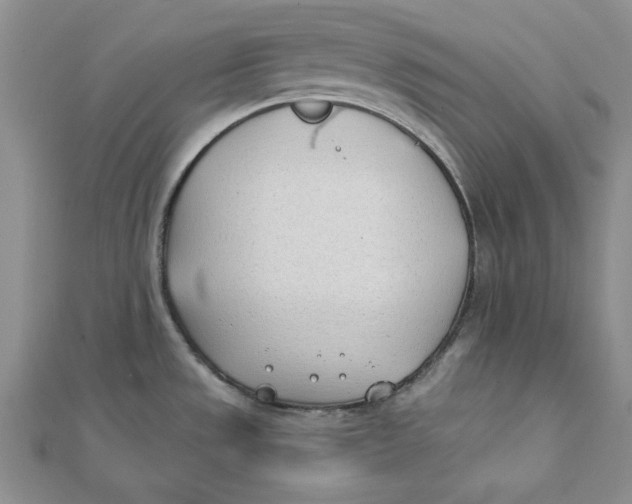 X0000111431533200908031321