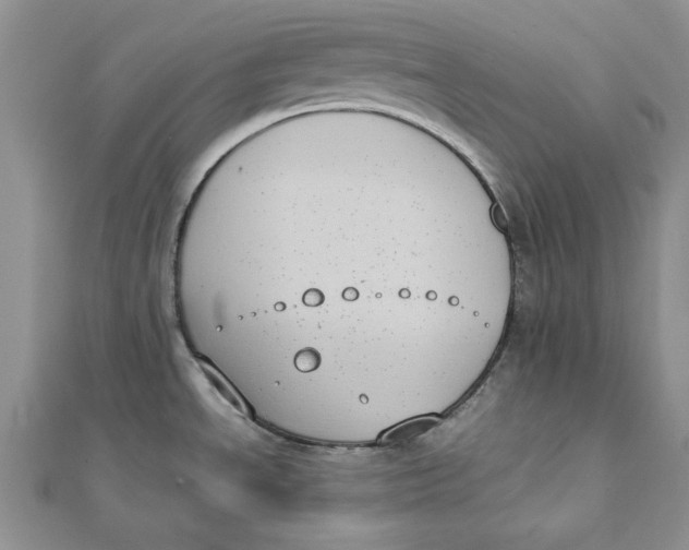 X0000111431534200908031321