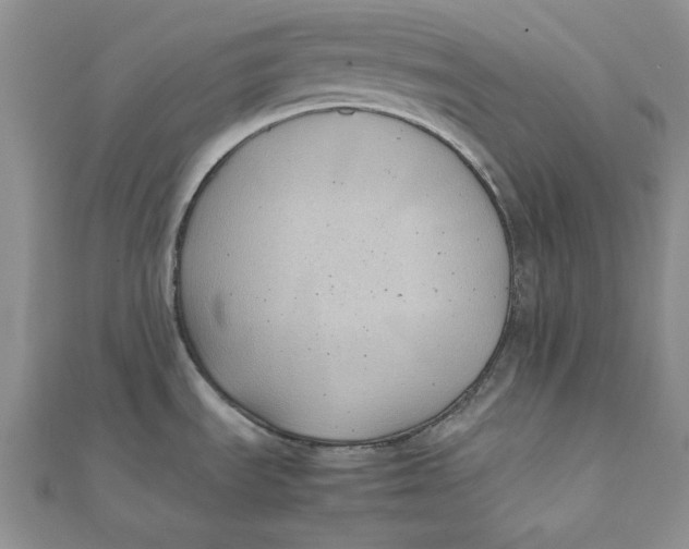 X0000111431535200908031321