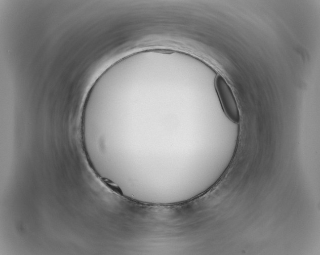 X0000111431536200908031321