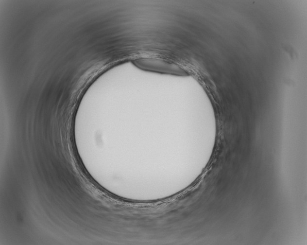 X0000111430001200908101125