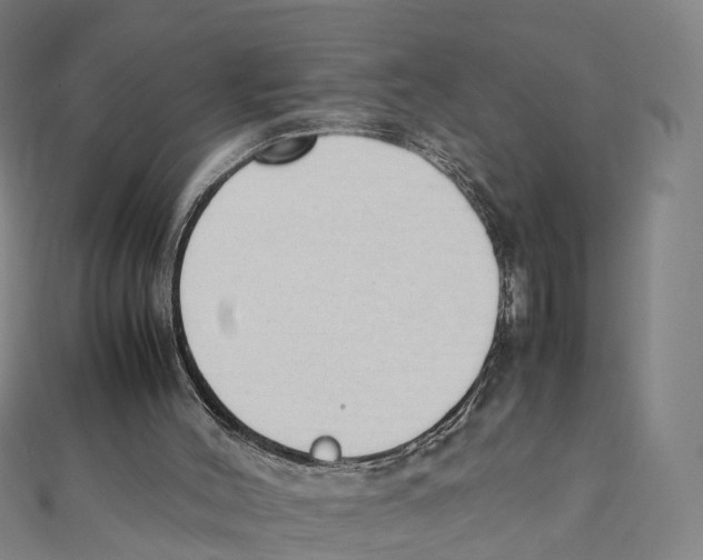 X0000111430004200908101125