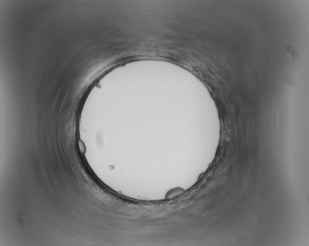X0000111430005200908101125