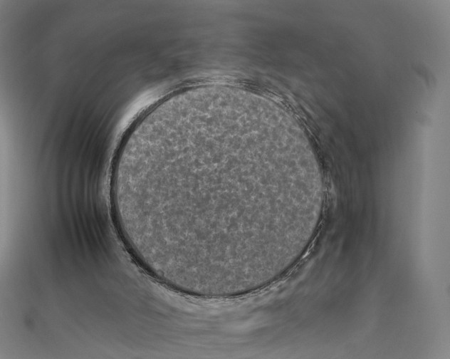 X0000111430006200908101125