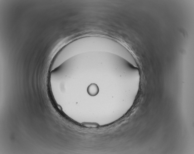 X0000111430007200908101125