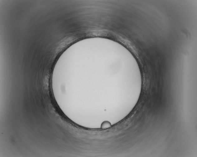 X0000111430010200908101125