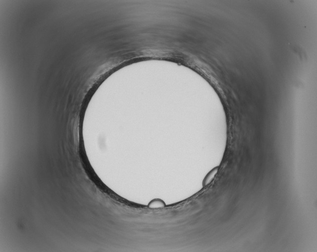 X0000111430011200908101125