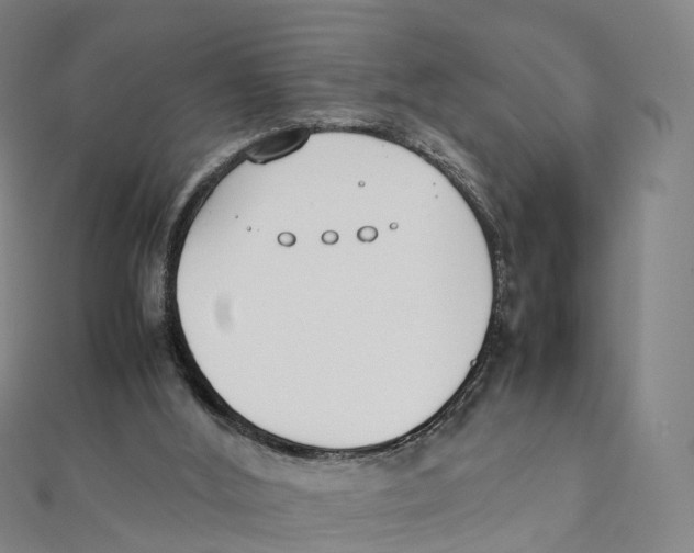 X0000111430012200908101125