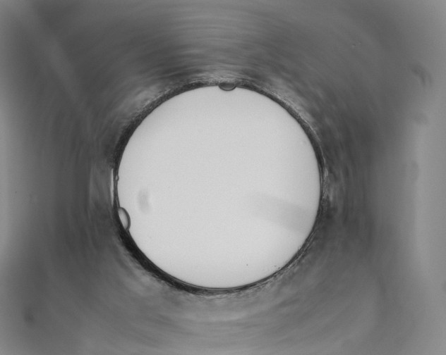X0000111430013200908101125