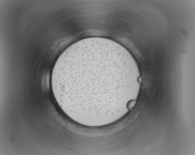 X0000111430014200908101125
