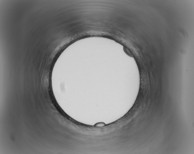 X0000111430015200908101125