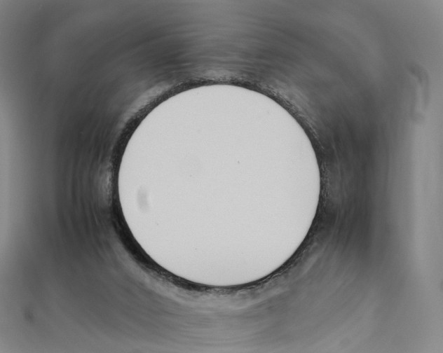 X0000111430016200908101125