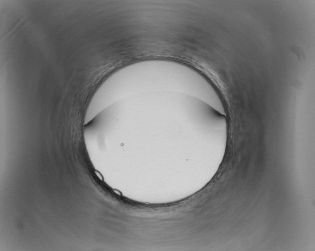 X0000111430017200908101125