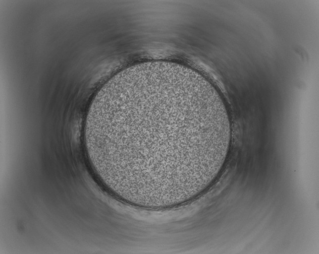 X0000111430018200908101125