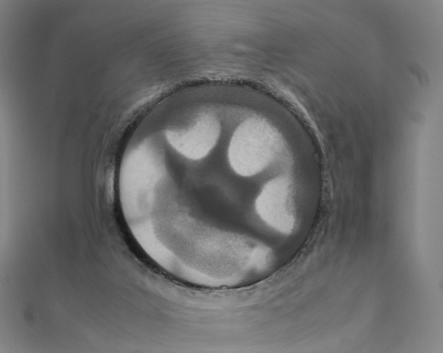 X0000111430019200908101125