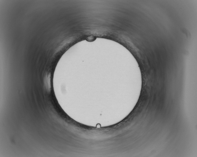 X0000111430020200908101125