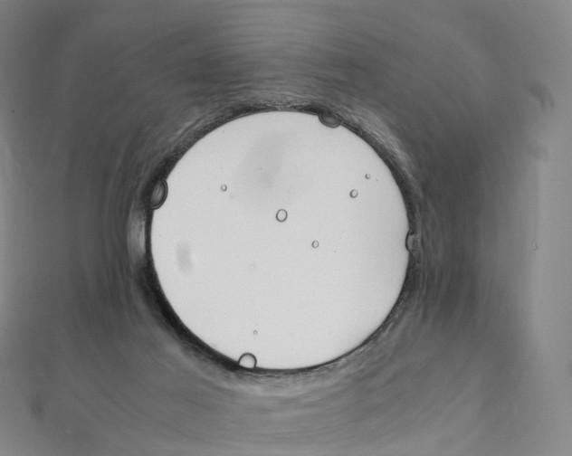 X0000111430021200908101125