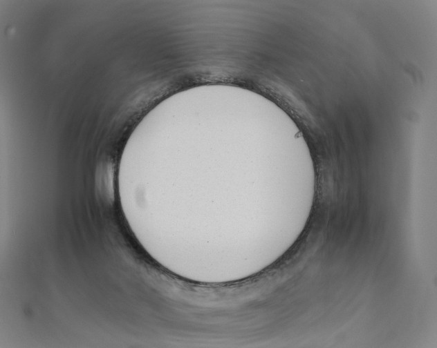 X0000111430022200908101125