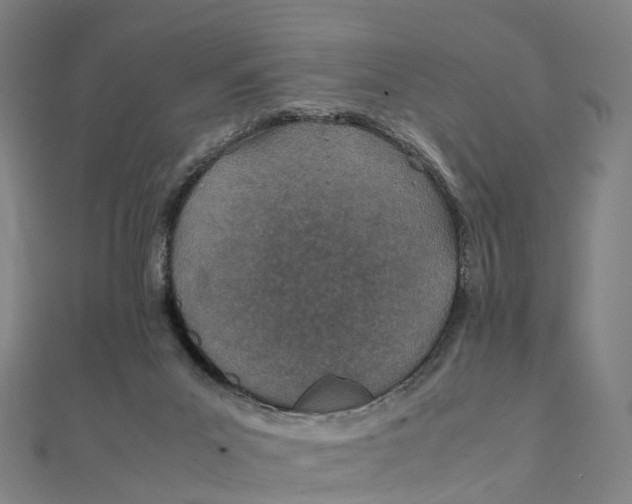 X0000111430023200908101125