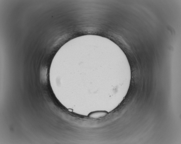 X0000111430024200908101125