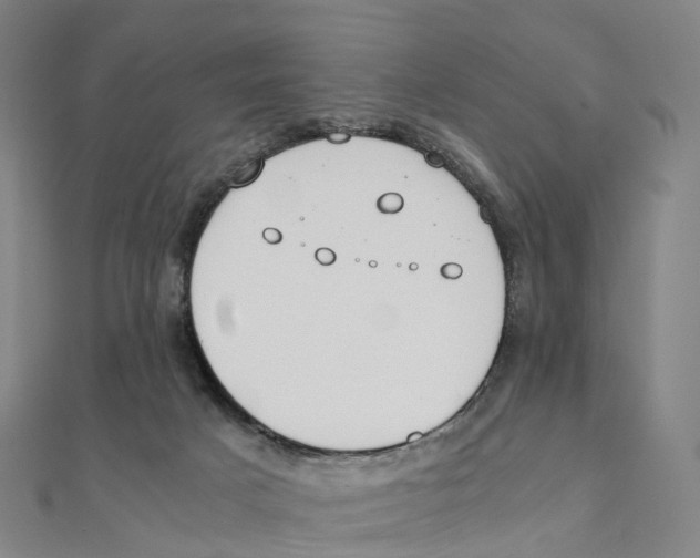X0000111430025200908101125