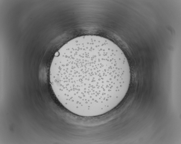 X0000111430026200908101125