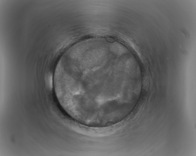 X0000111430027200908101125