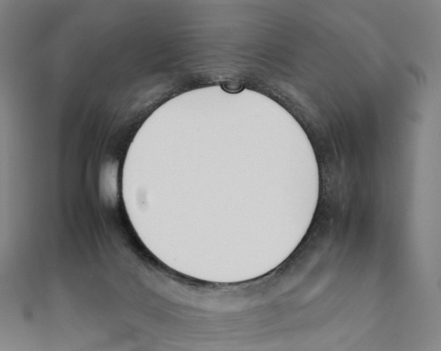 X0000111430028200908101125