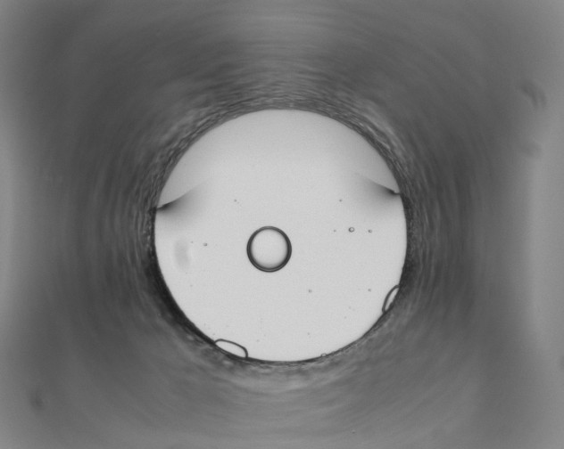 X0000111430029200908101125