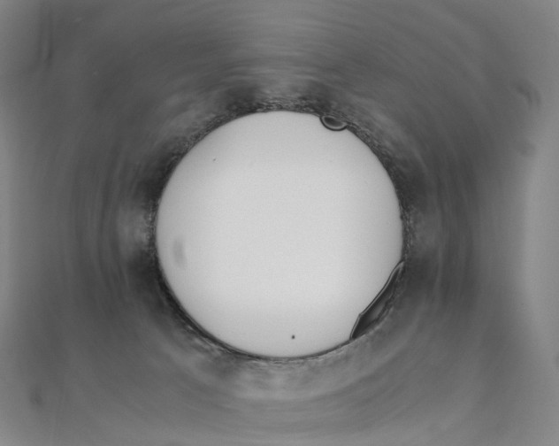 X0000111430033200908101125