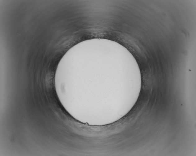 X0000111430034200908101125