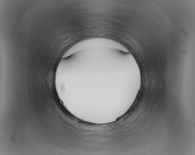 X0000111430036200908101125