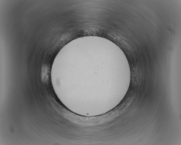 X0000111430038200908101125