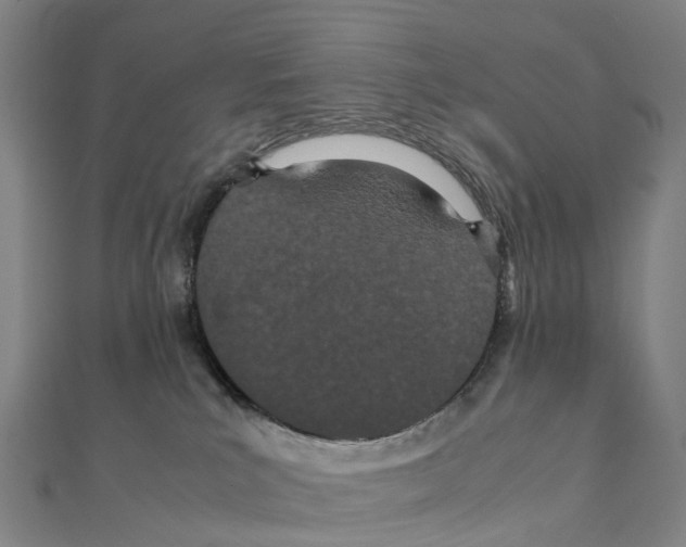 X0000111430039200908101125