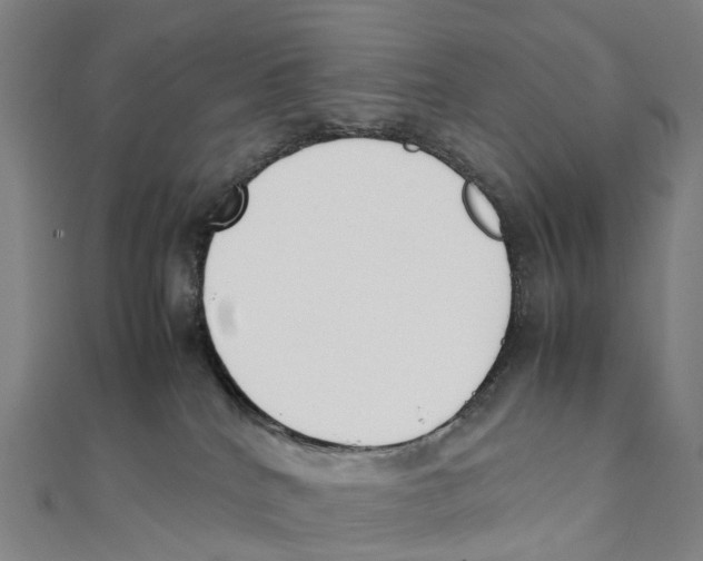 X0000111430040200908101125